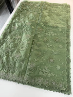 Soft organza saree/ CW859