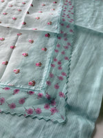 Silky kotta / U4877