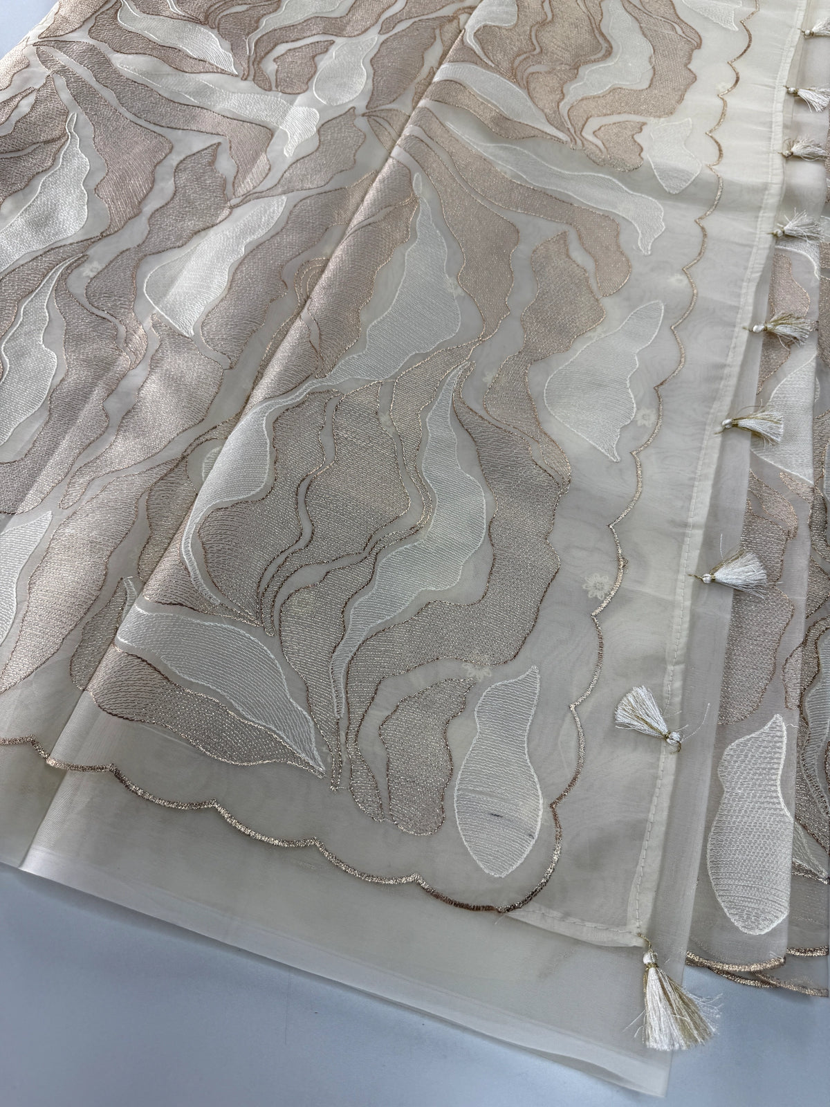 Organza Saree/ 839A