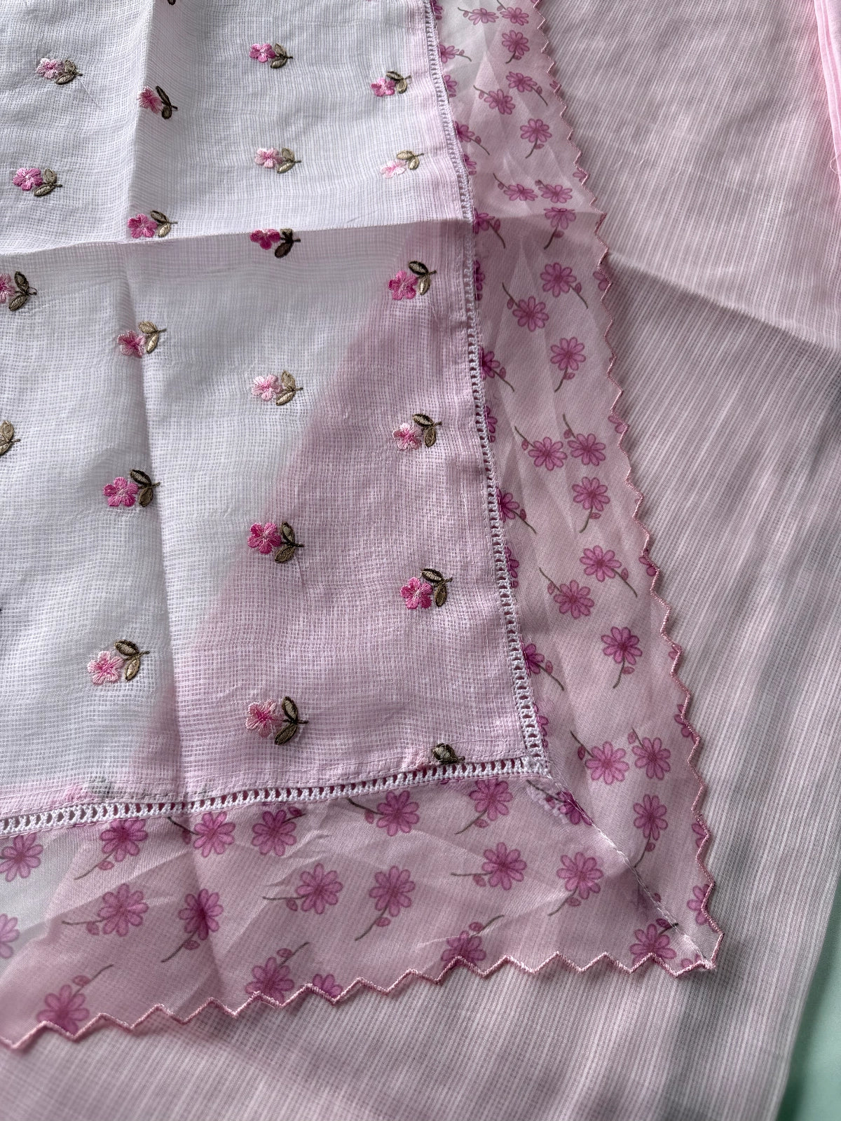 Silky kotta / U4877