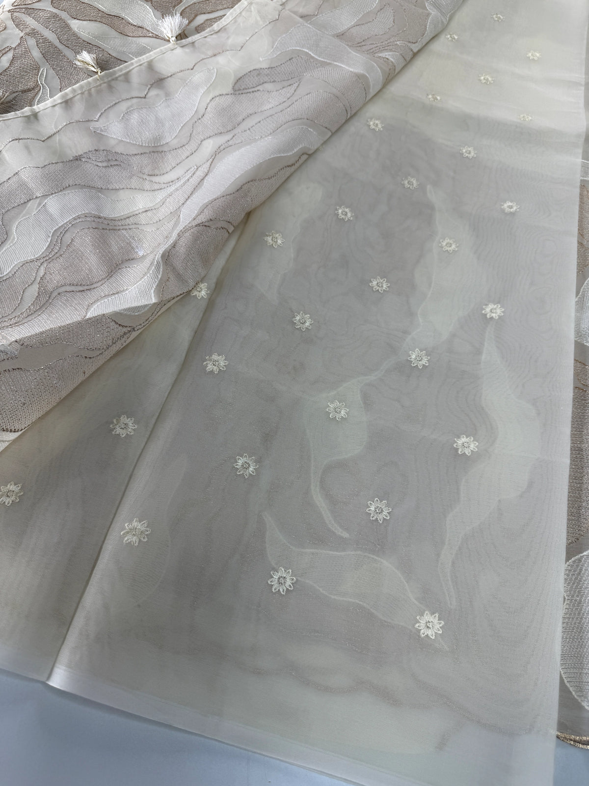 Organza Saree/ 839A