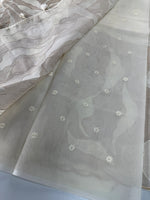 Organza Saree/ 839A