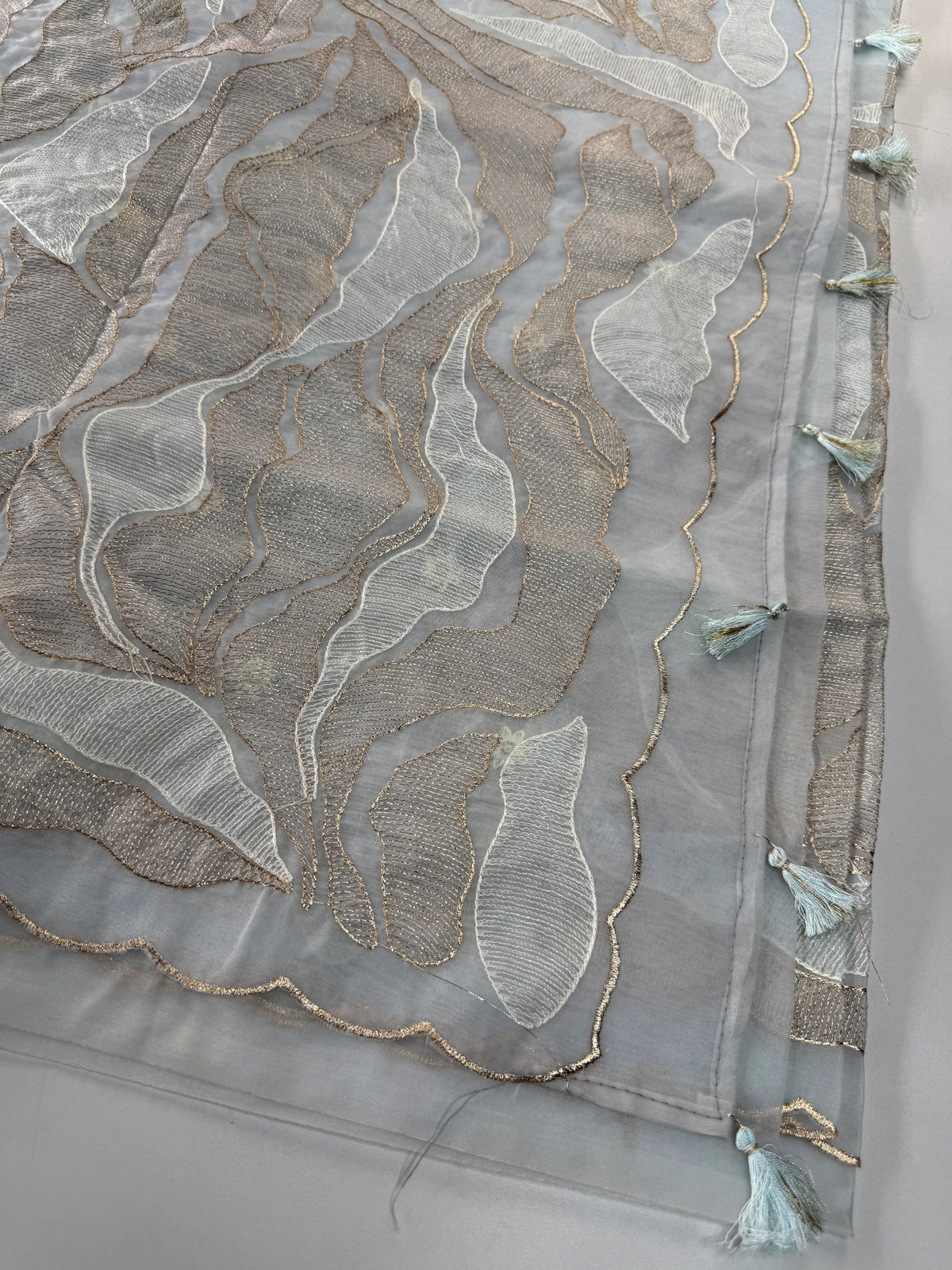 Organza Saree/ 839A