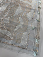 Organza Saree/ 839A