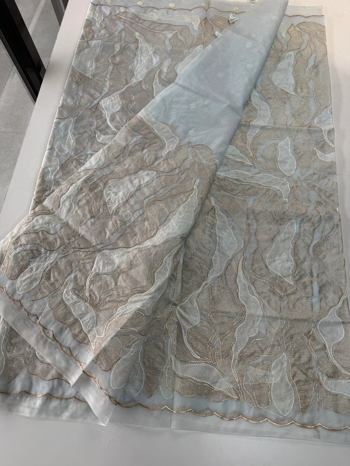 Organza Saree/ 839A