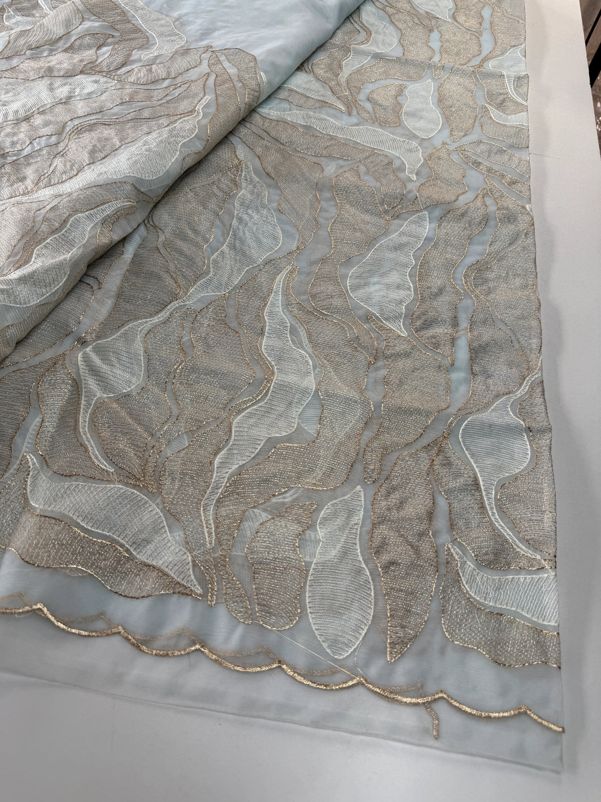 Organza Saree/ 839A