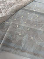 Organza Saree/ 839A