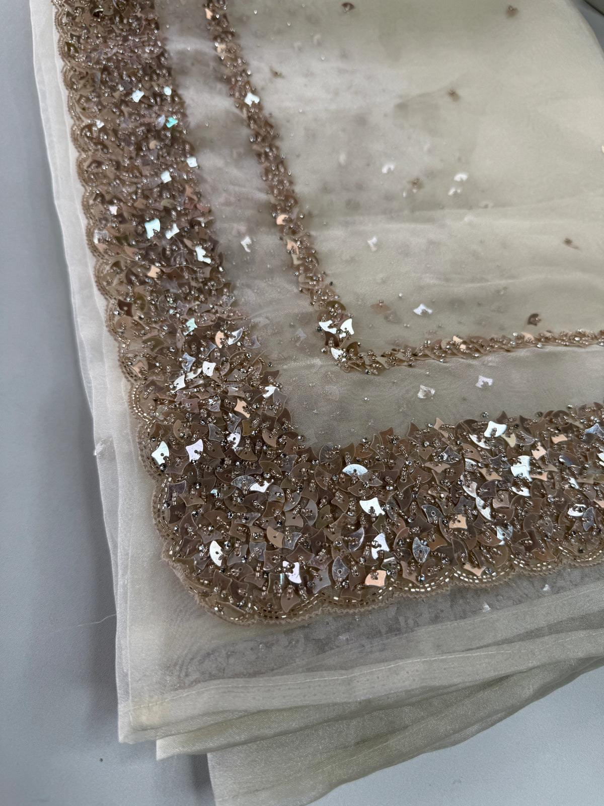 Glass Organza Saree/ AP112