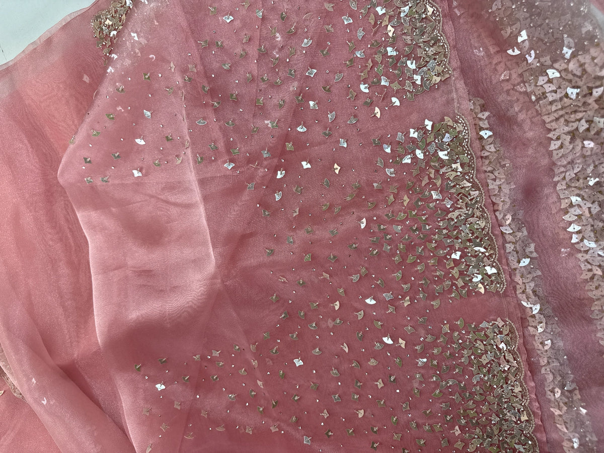 Glass Organza Saree/ AP112