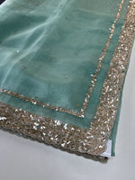 Glass Organza Saree/ AP112