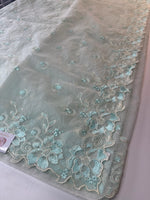 Soft Organza Saree / 101FA
