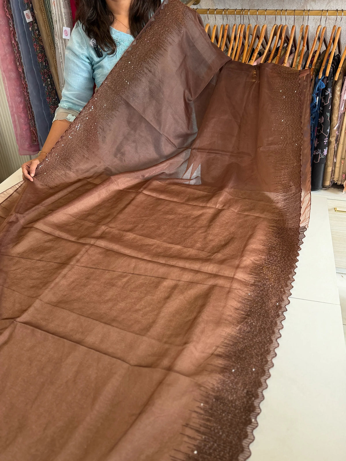 Soft organza saree/ CW296