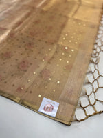 Tissue linen Blend Saree/ GDF11