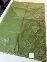 Soft Organza Saree / CW275
