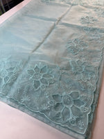 Soft Organza Saree / CW275
