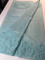 Soft Organza Saree / CW275