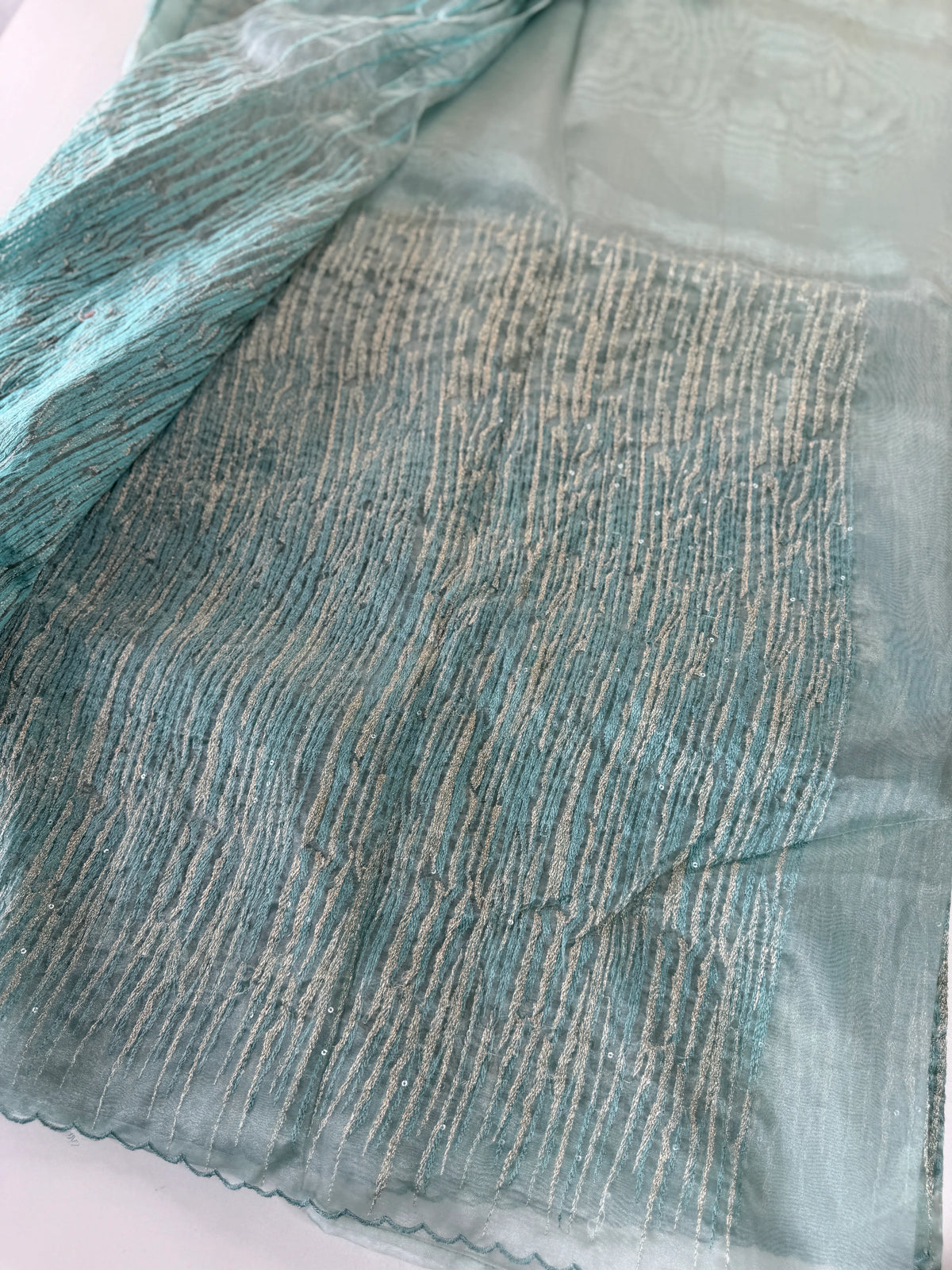 Fancy Saree/ CW337