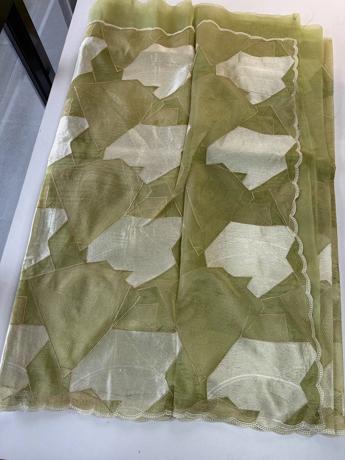 Soft organza Saree / CW330