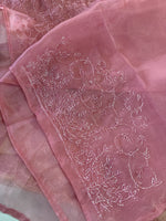 Soft organza Saree / CW330