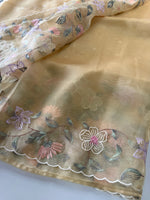 Glass organza Saree/ 155F