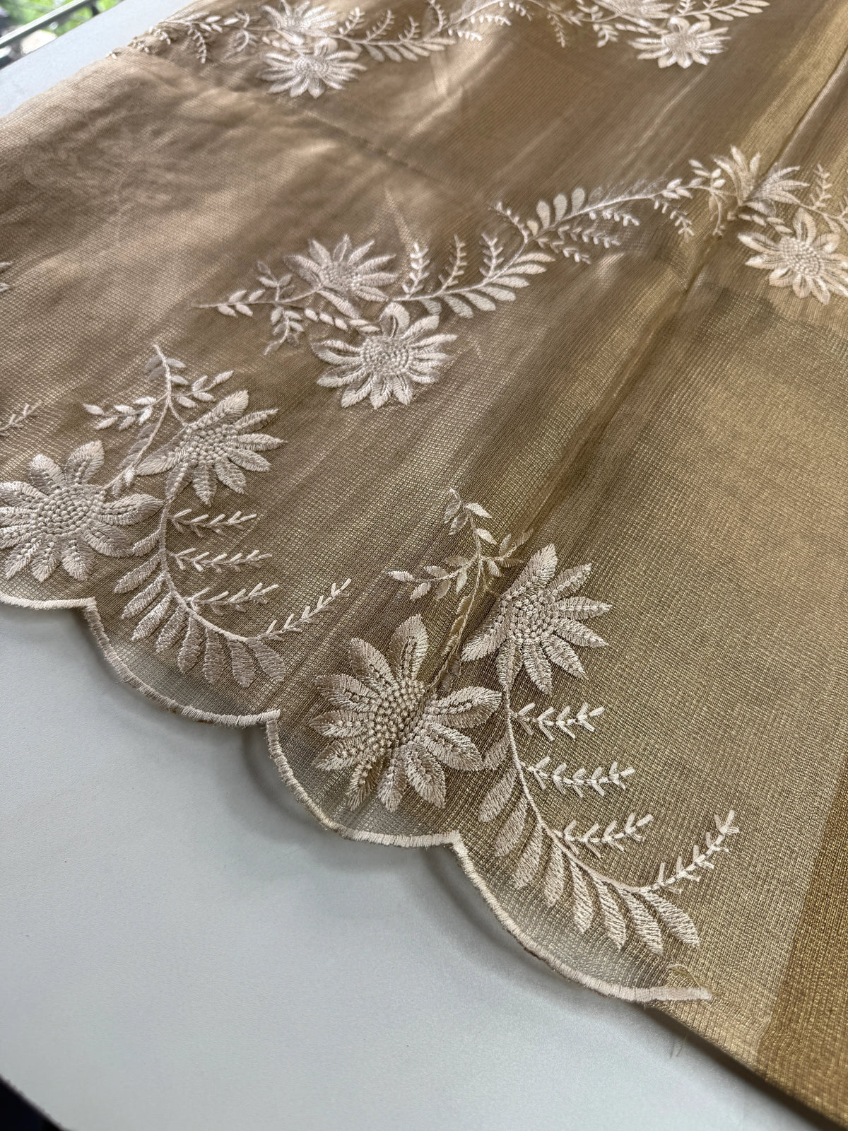 Tissue Saree/RKF36