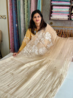 Crushed Organza Saree/ AM118