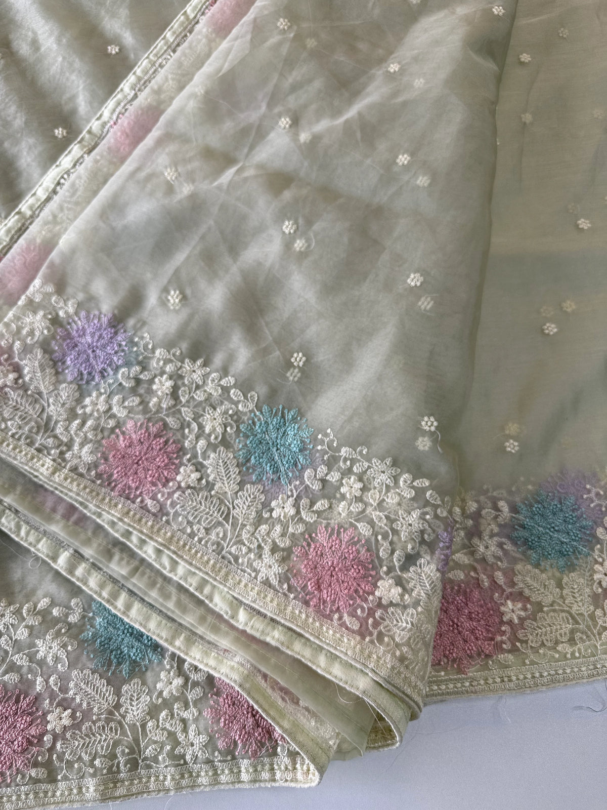 Soft oragnza saree/ CW1055