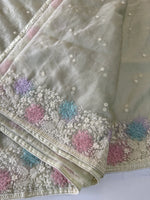 Soft oragnza saree/ CW1055