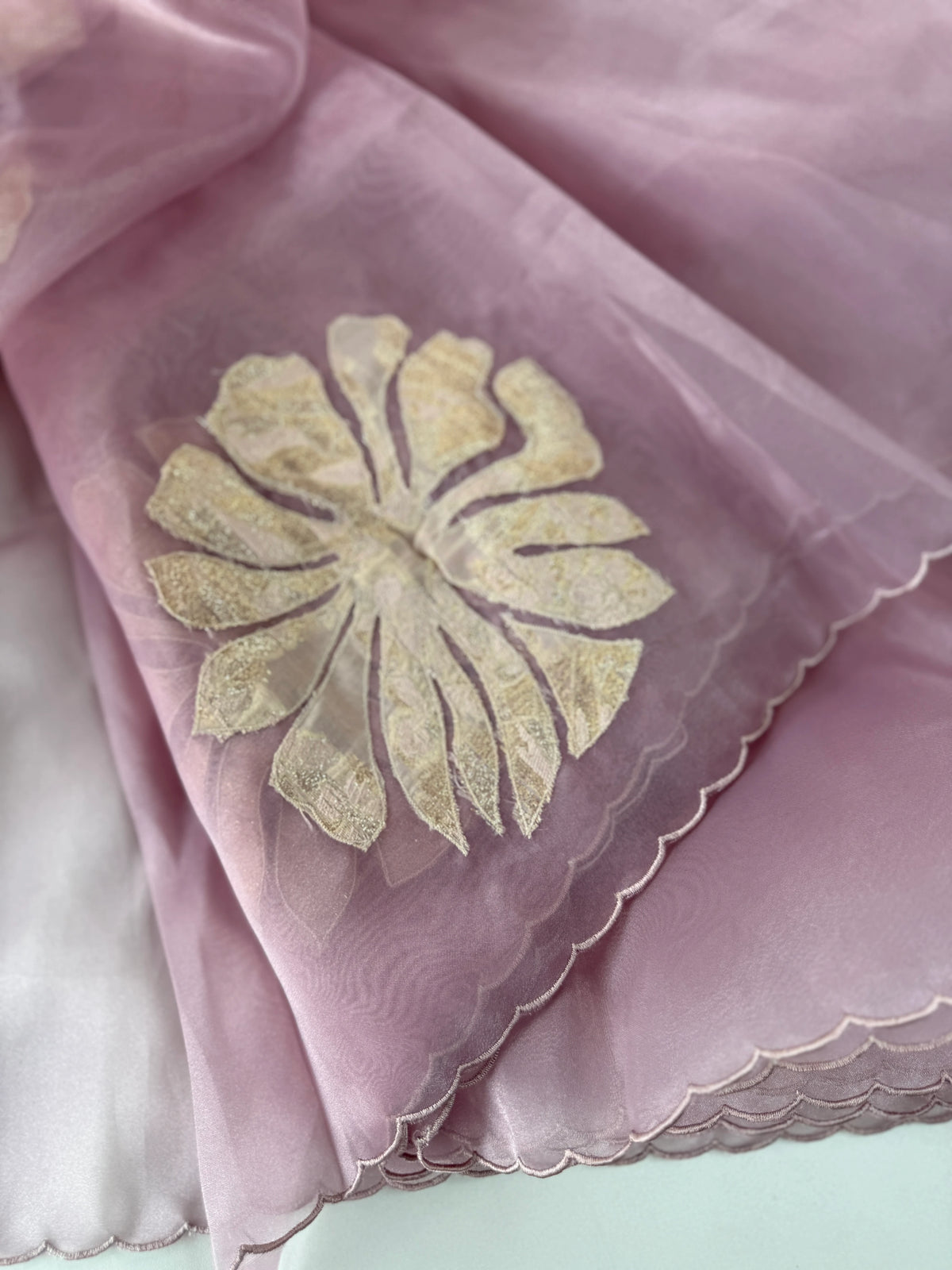 Glass Organza Saree/ LK35