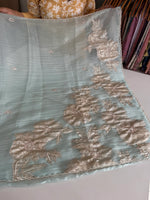 Crushed Organza Saree/ AM118