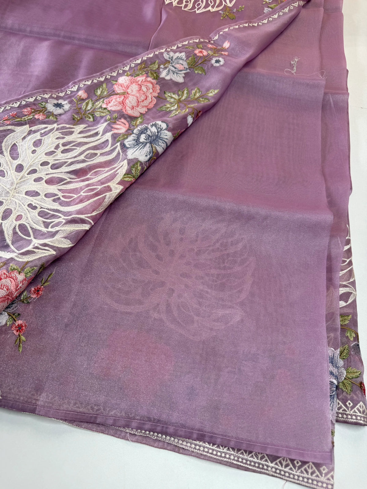 Tissue organza saree /RKF07