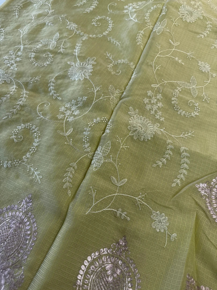 Silky kotta / ACN02/B