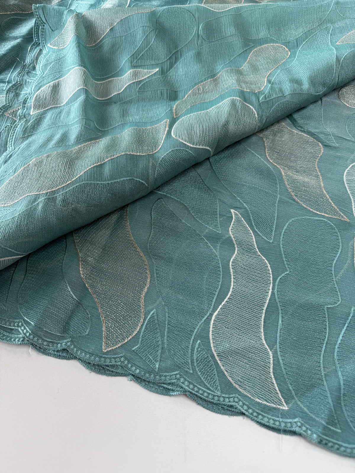 organza saree/ CW473
