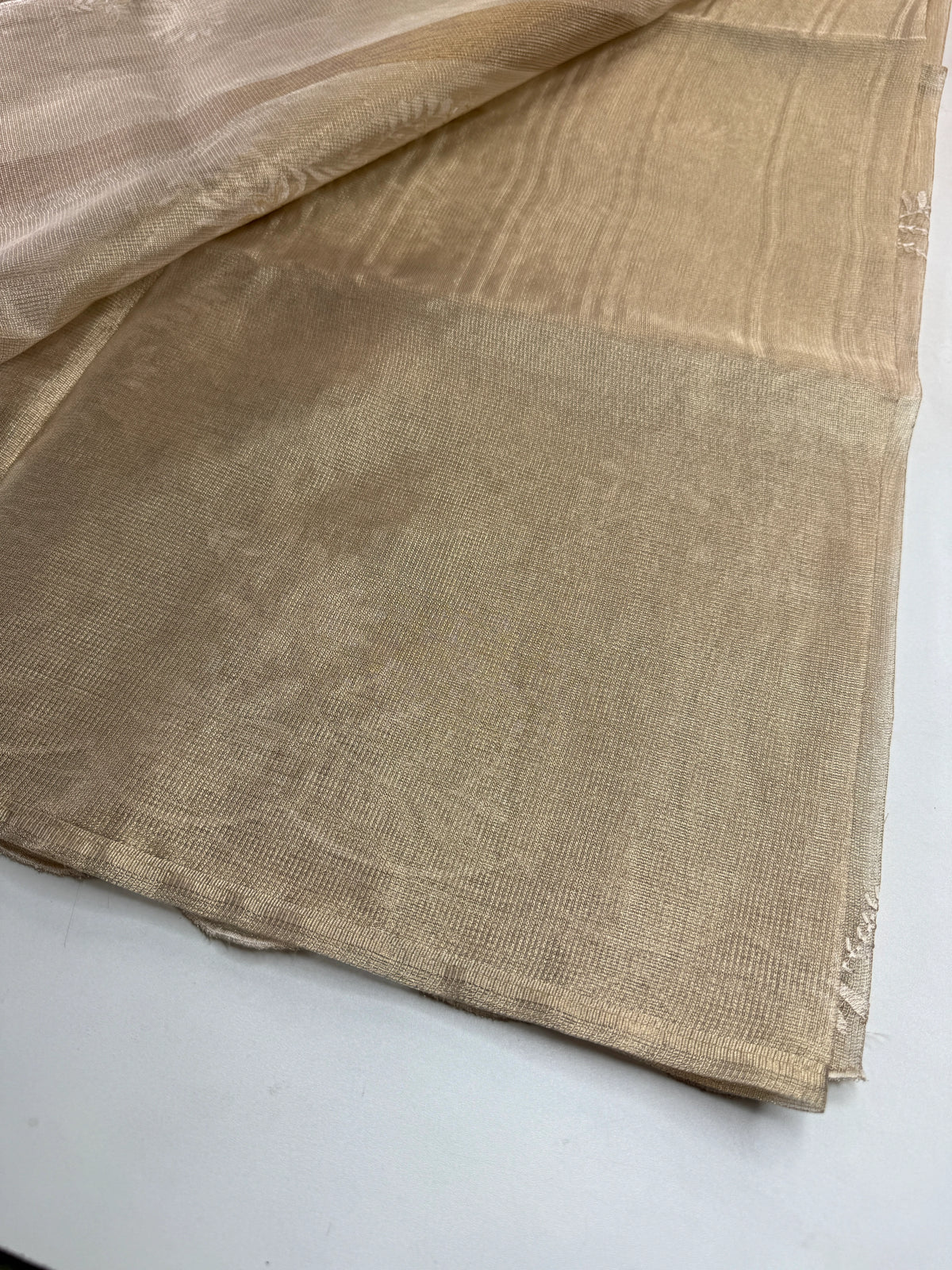 Tissue Saree/RKF36