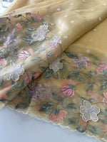 Glass organza Saree/ 155F