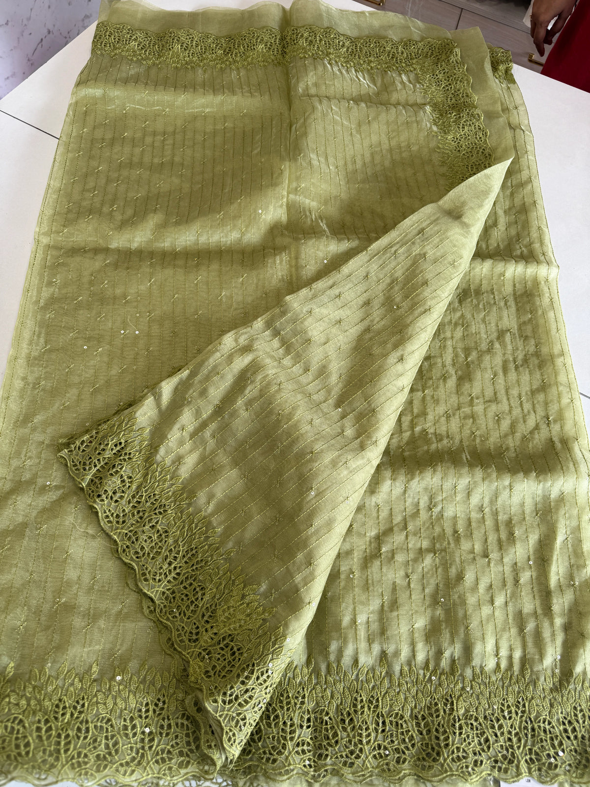 Soft Organza Saree/ Cw055
