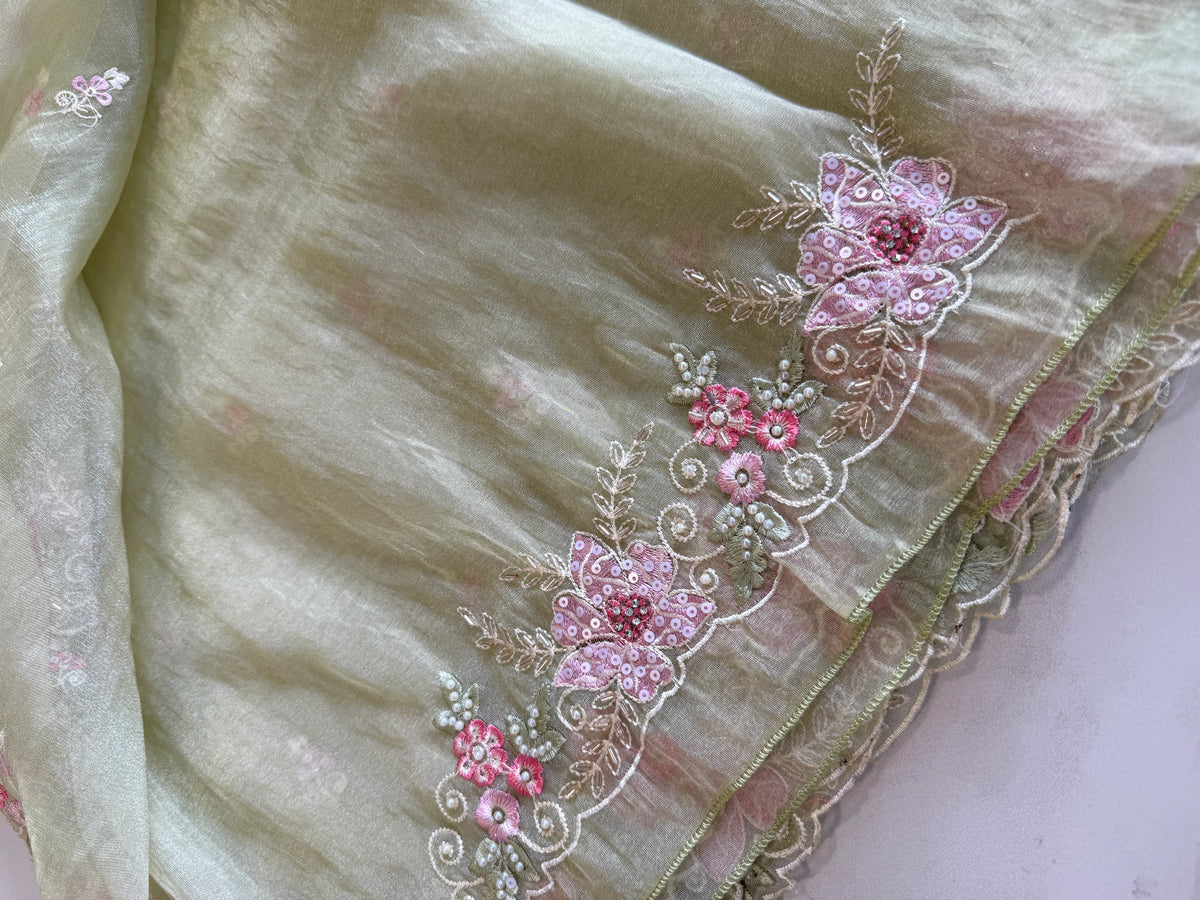 Korean organza saree/ HW595