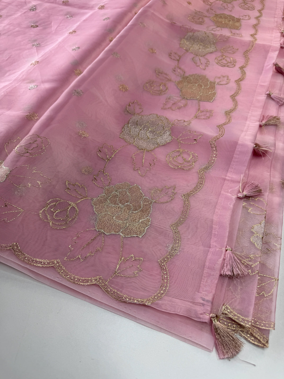 organza saree/ SS100