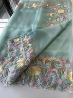 Glass organza Saree/ 155G