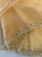 Organza Saree/ HW97