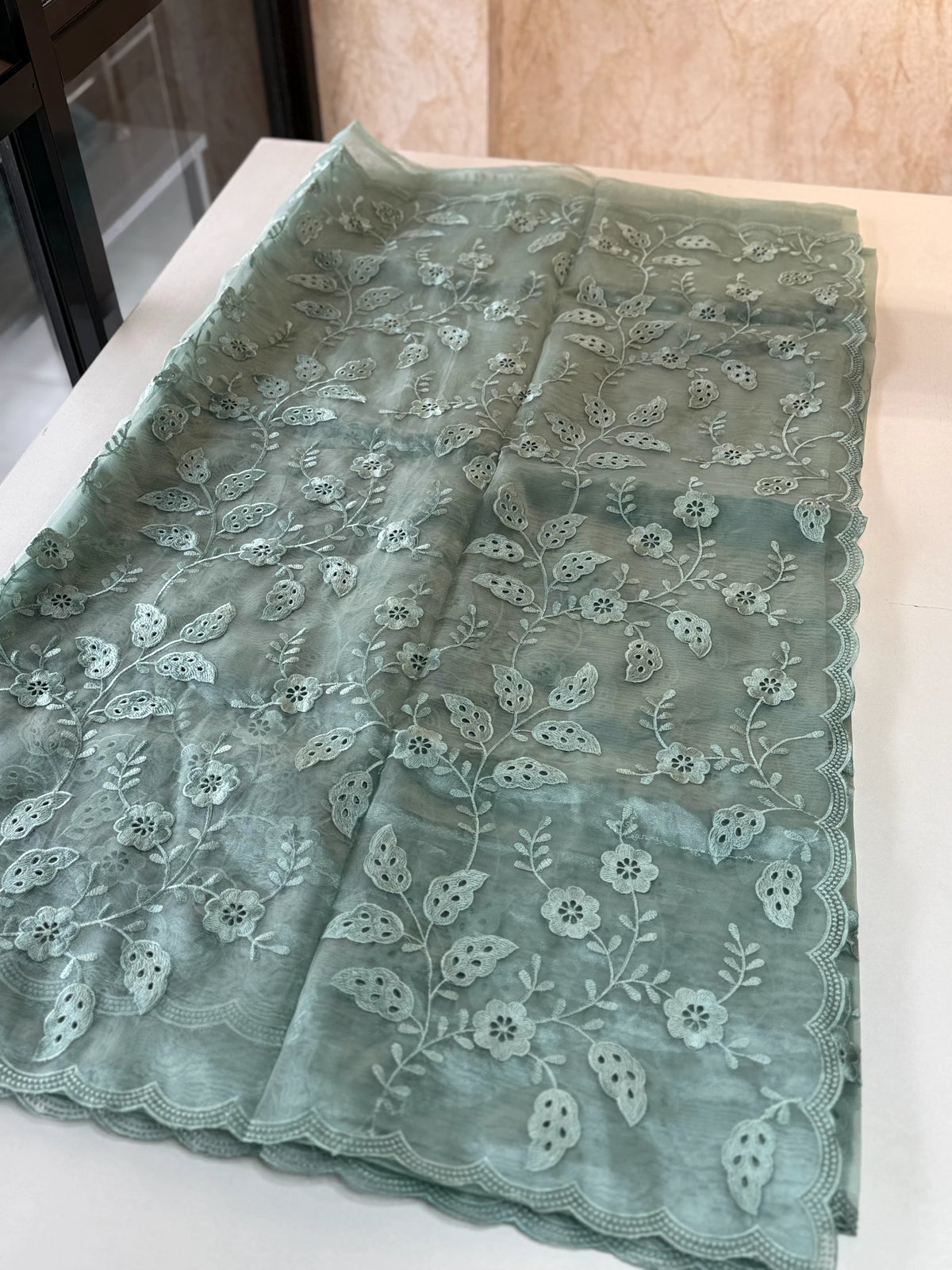 Organza Saree/GCW48