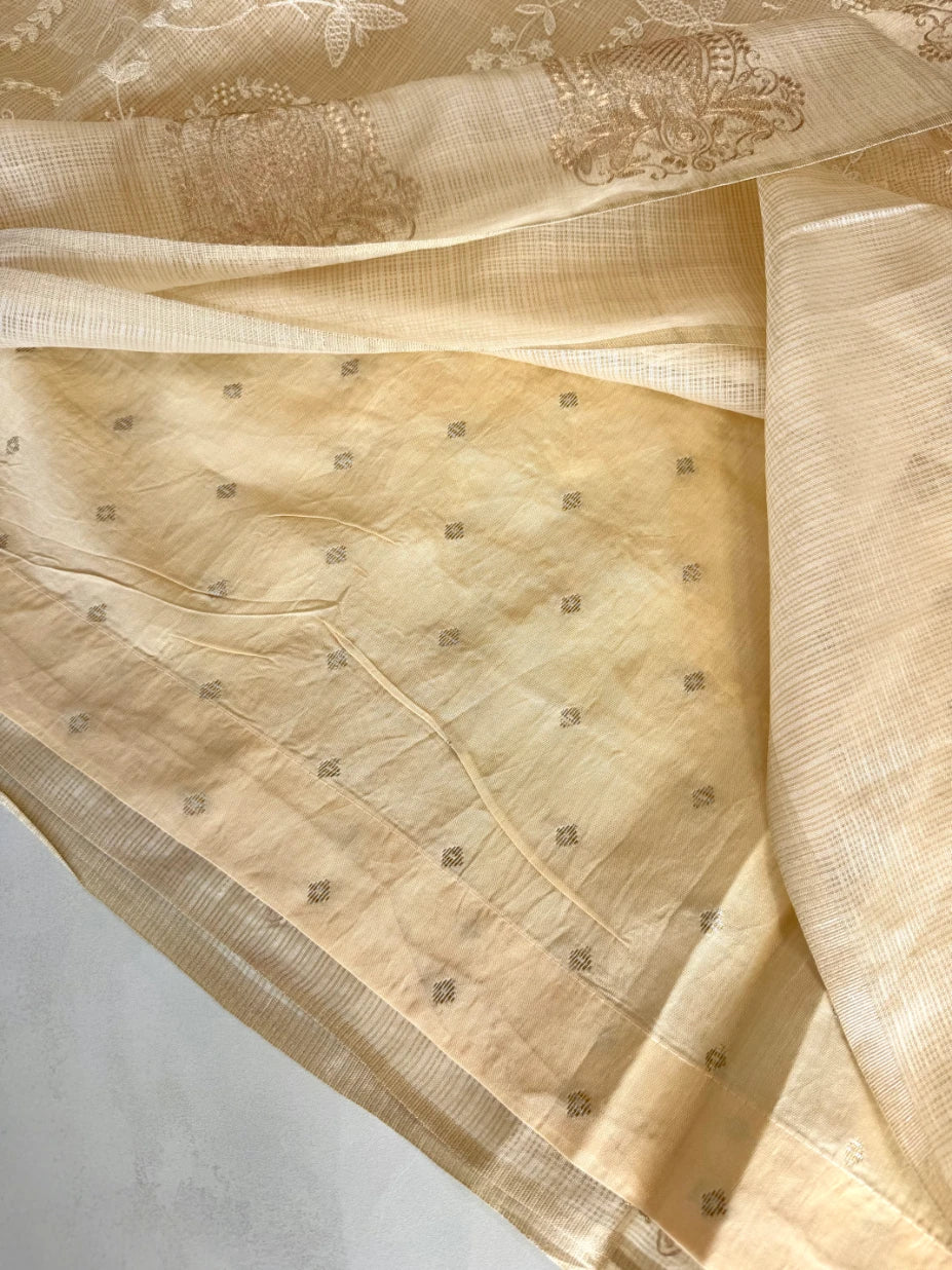 Silky kotta / ACN02/B