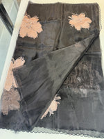 Glass Organza Saree/ KB24