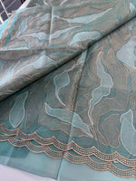 Organza saree/A893