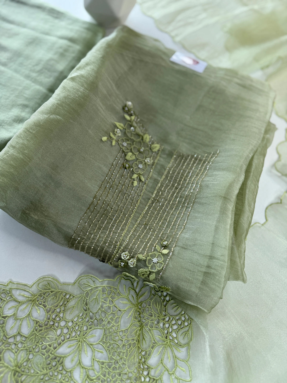 Korean Organza Saree / U4834