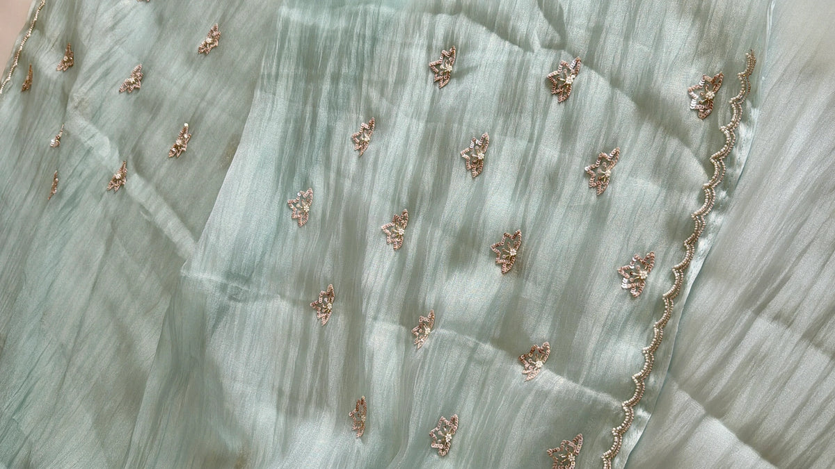 Crushed Organza Saree/ AM118