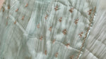 Crushed Organza Saree/ AM118