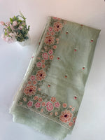 Platinum crushed Oragnza saree/BB519