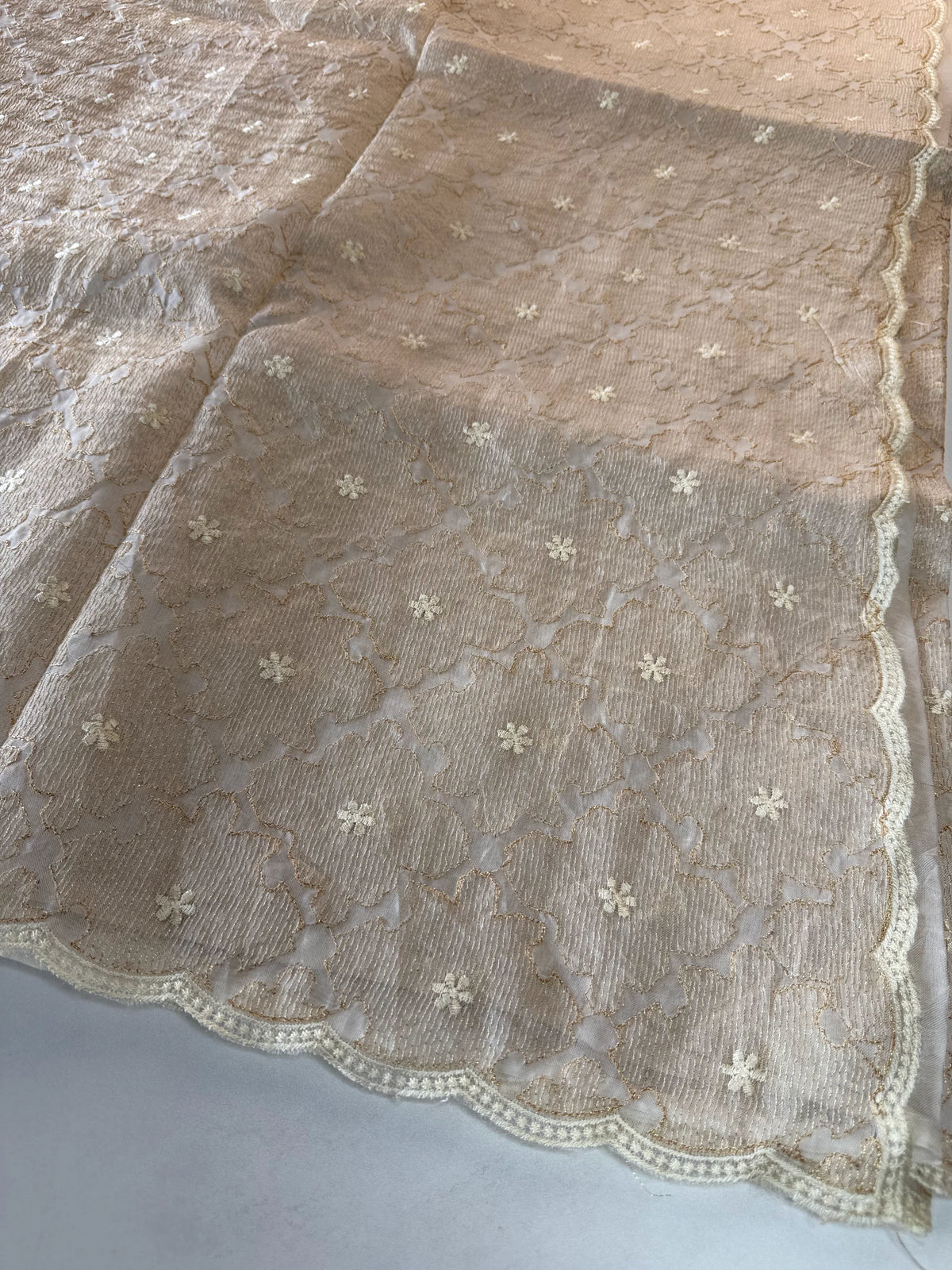 Organza Saree / CW316