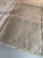 Organza Saree / CW316